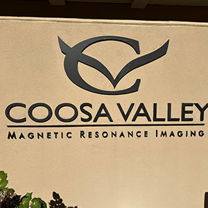Our Vision